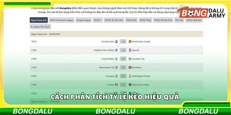 Cách phân tích tỷ lệ kèo hiệu quả 