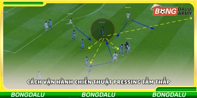 Cách vận hành chiến thuật pressing tầm thấp