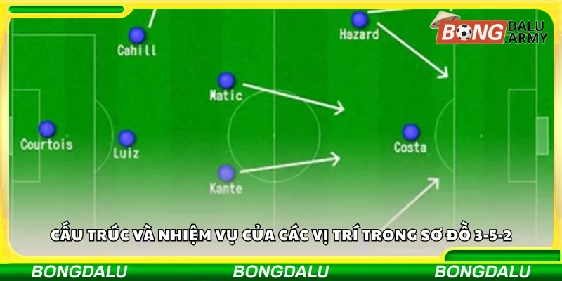Cấu trúc và nhiệm vụ của các vị trí trong sơ đồ 3-5-2