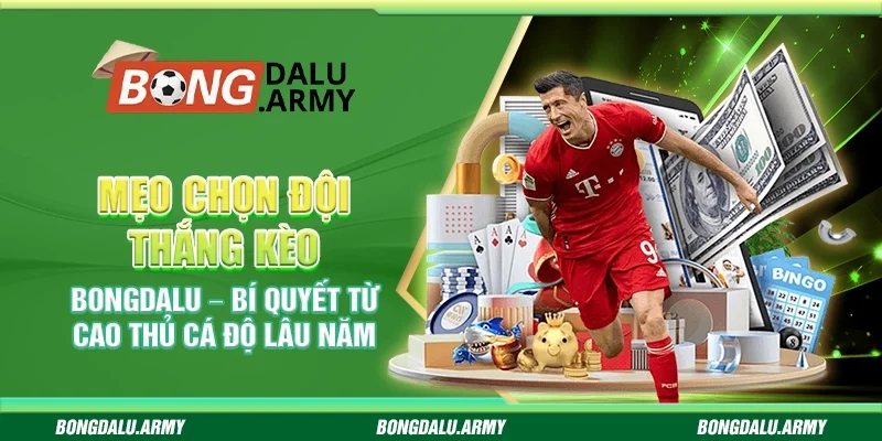 Mẹo chọn đội thắng kèo Bongdalu – Bí quyết từ cao thủ cá độ lâu năm