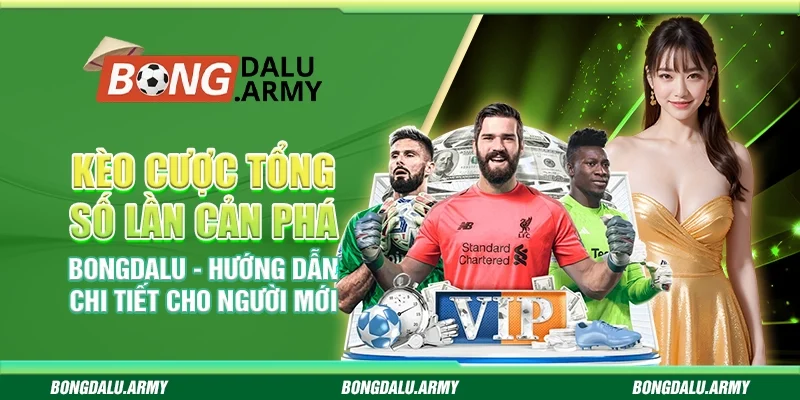 Kèo cược tổng số lần cản phá Bongdalu - Hướng dẫn chi tiết cho người mới