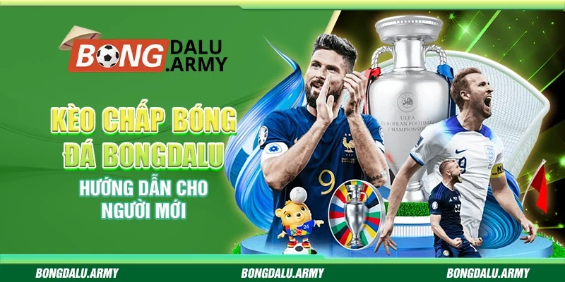 Kèo chấp bóng đá Bongdalu - Hướng dẫn cho người mới 