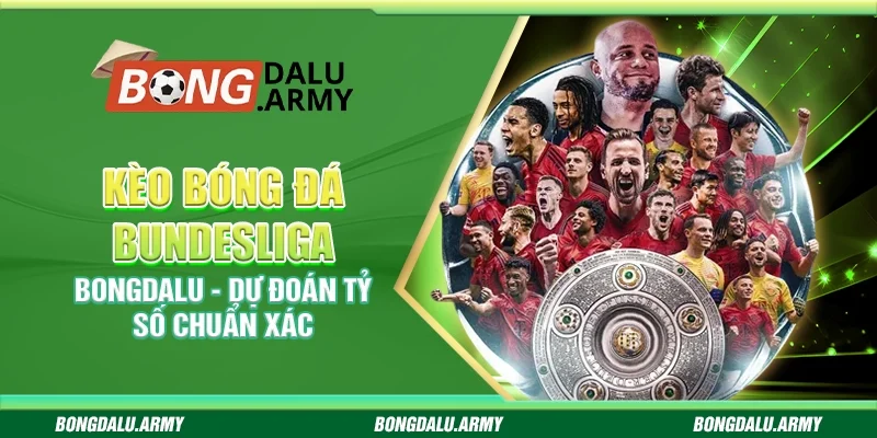 Kèo bóng đá Bundesliga Bongdalu - Dự đoán tỷ số chuẩn xác