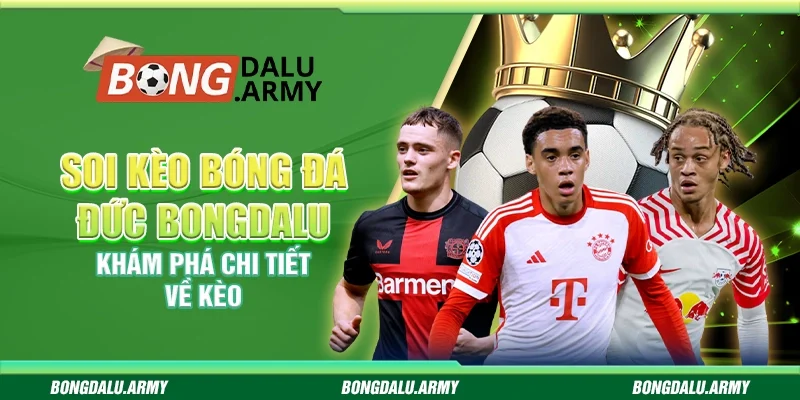 Soi kèo bóng đá Đức Bongdalu - Khám phá chi tiết về kèo