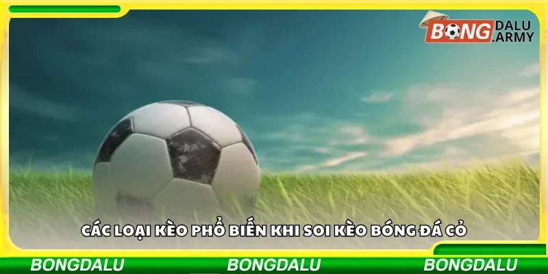 Những kiểu kèo thường gặp trong bóng đá cỏ