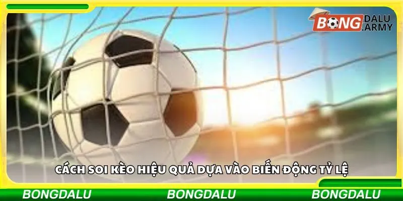 Cách soi kèo hiệu quả dựa vào biến động tỷ lệ