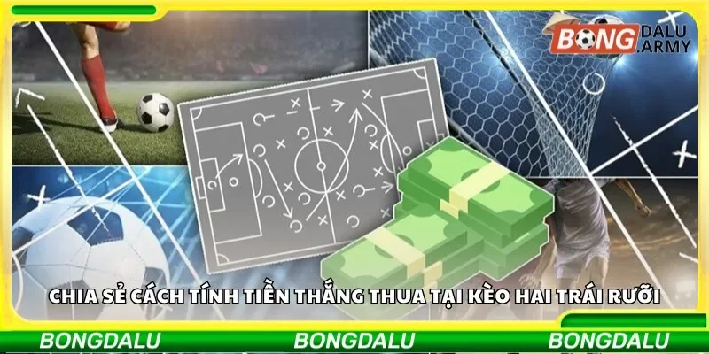 Chia sẻ cách tính tiền thắng thua tại kèo hai trái rưỡi