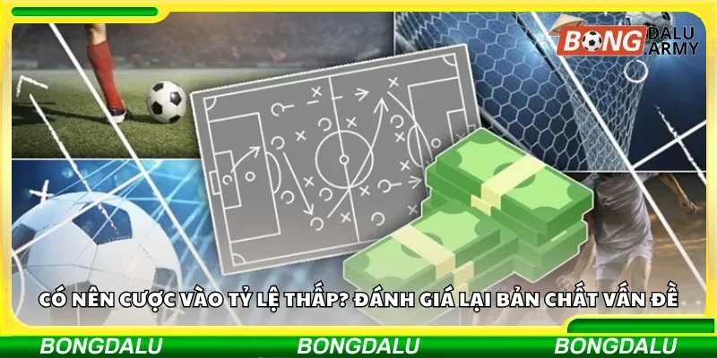 Có nên cược vào tỷ lệ thấp? Đánh giá lại bản chất vấn đề