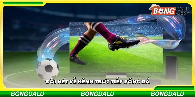 Tìm hiểu về kênh trực tiếp bóng đá
