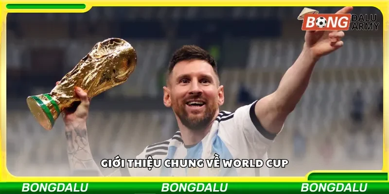 Tổng quan giải đấu World Cup