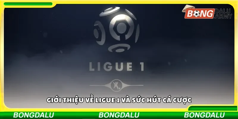Tổng quan Ligue 1 và lý do giải đấu hấp dẫn trong cá cược