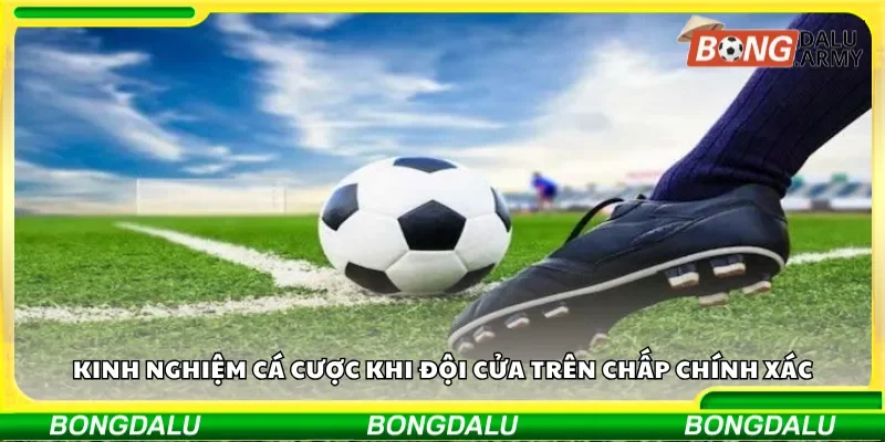 Kinh nghiệm cá cược khi đội cửa trên chấp chính xác