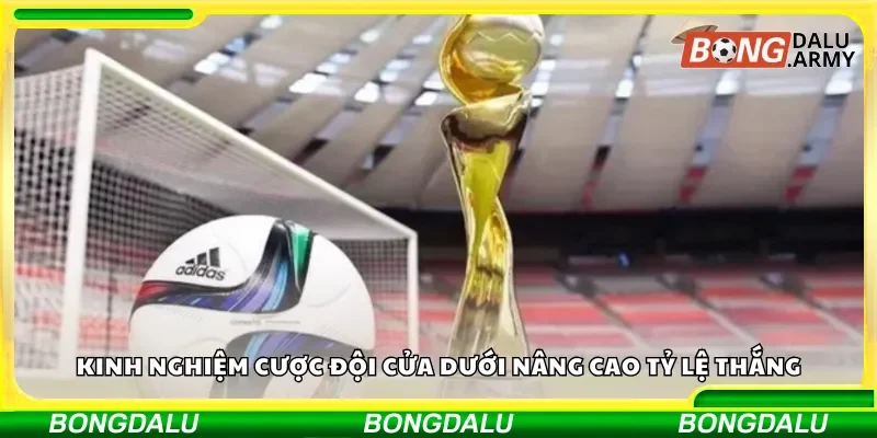 Kinh nghiệm cược đội cửa dưới nâng cao tỷ lệ thắng