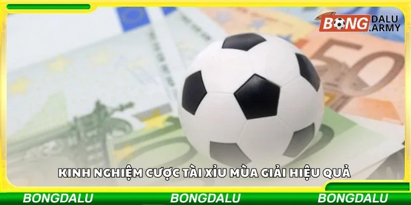 Kinh nghiệm cược tài xỉu mùa giải hiệu quả