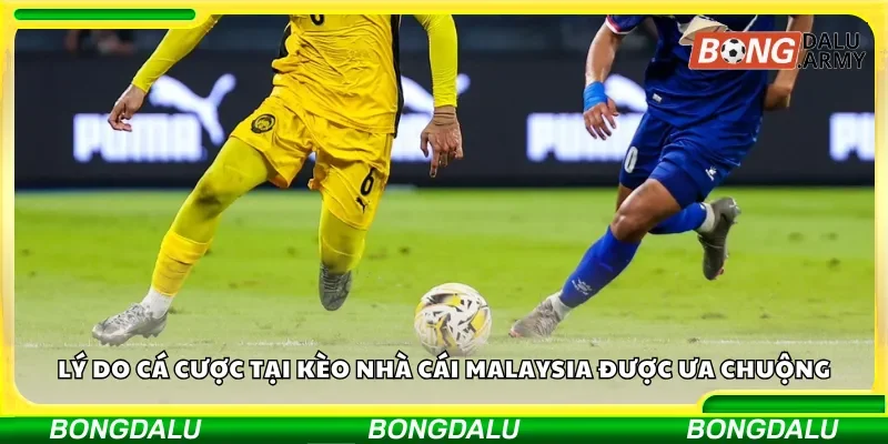 Vì sao nhà cái Malaysia thu hút người chơi?