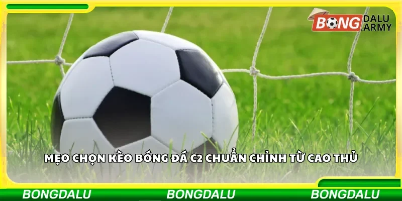 Kinh nghiệm chọn kèo C2 từ những người chơi chuyên nghiệp