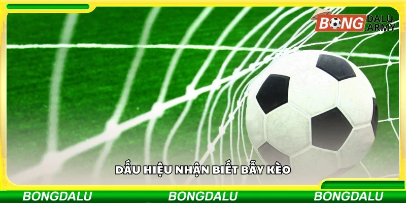 Một số dấu hiệu nhận biết bẫy kèo