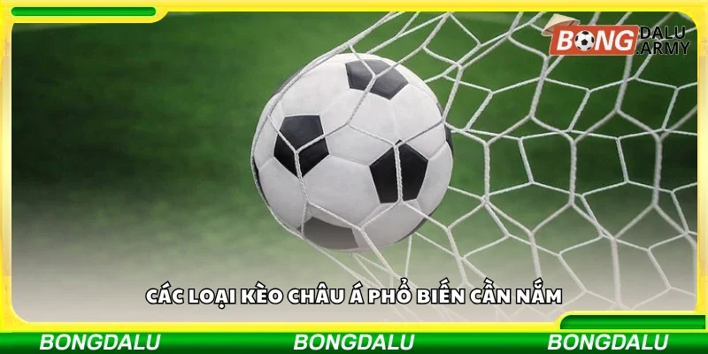 Một số loại kèo châu Á phổ biến cần nắm