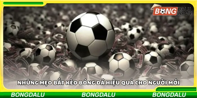 Những mẹo bắt kèo bóng đá hiệu quả cho người mới