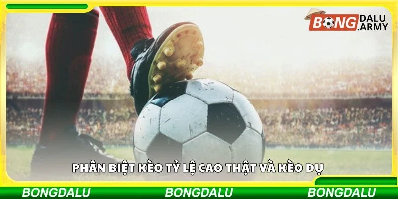 Phân biệt kèo tỷ lệ cao thật và kèo dụ