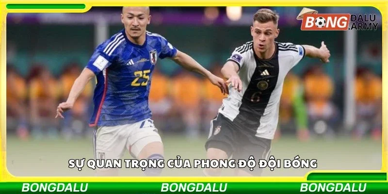 Sự quan trọng của phong độ đội bóng