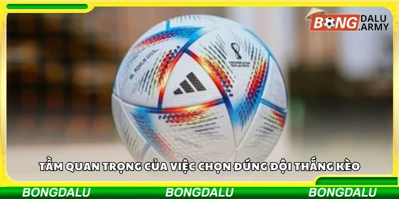 Tầm quan trọng của việc chọn đúng đội thắng kèo