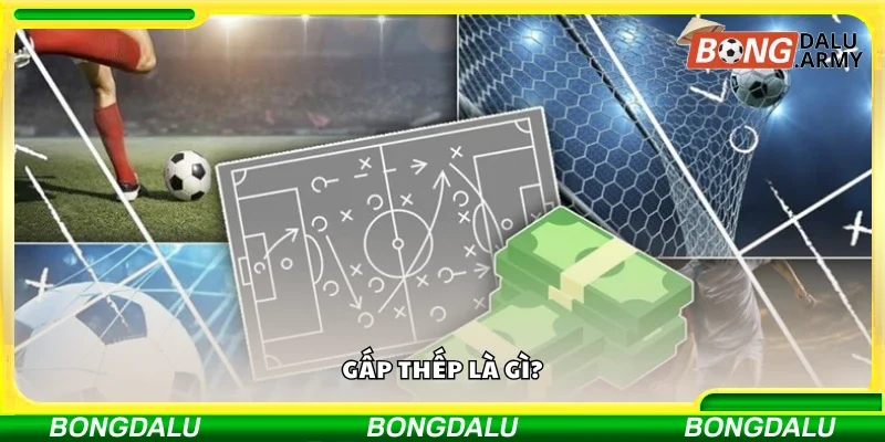 Tìm hiểu khái niệm gấp thếp 