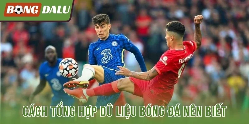 Cách tổng hợp dữ liệu bóng đá nên biết